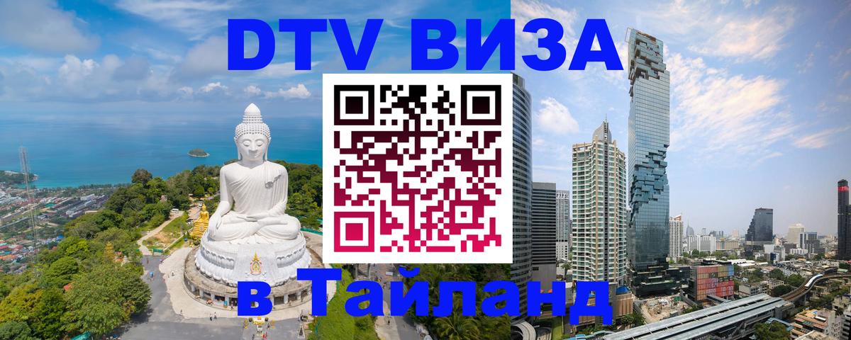 Оформление DTV визы под ключ: стоимость и тарифы, только загранпаспорт - 